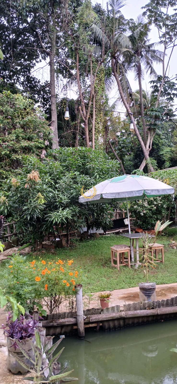 Rumah kebun siap huni di Depok - View 4