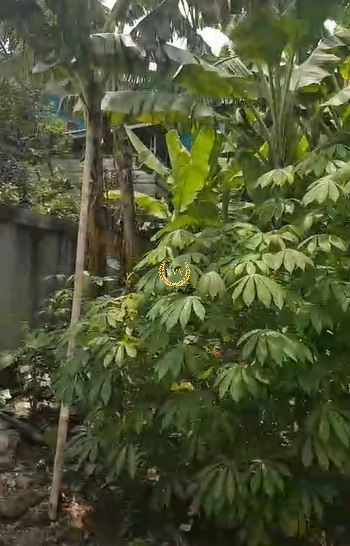 TANAH DI JL. PENGASINAN GANG KAMBOJA - View 3