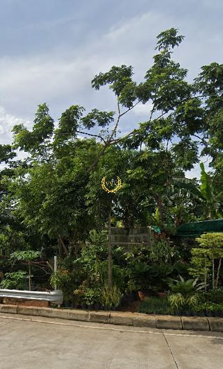 KAVLING SHM JL BRIGIF GANDUL CINERE KOTA DEPOK - View 2