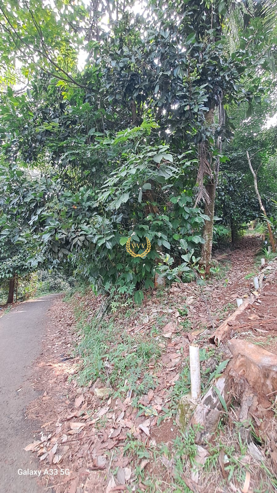 TANAH KP KARYA BAKTI, LEUWILIANG, BOGOR - View 1