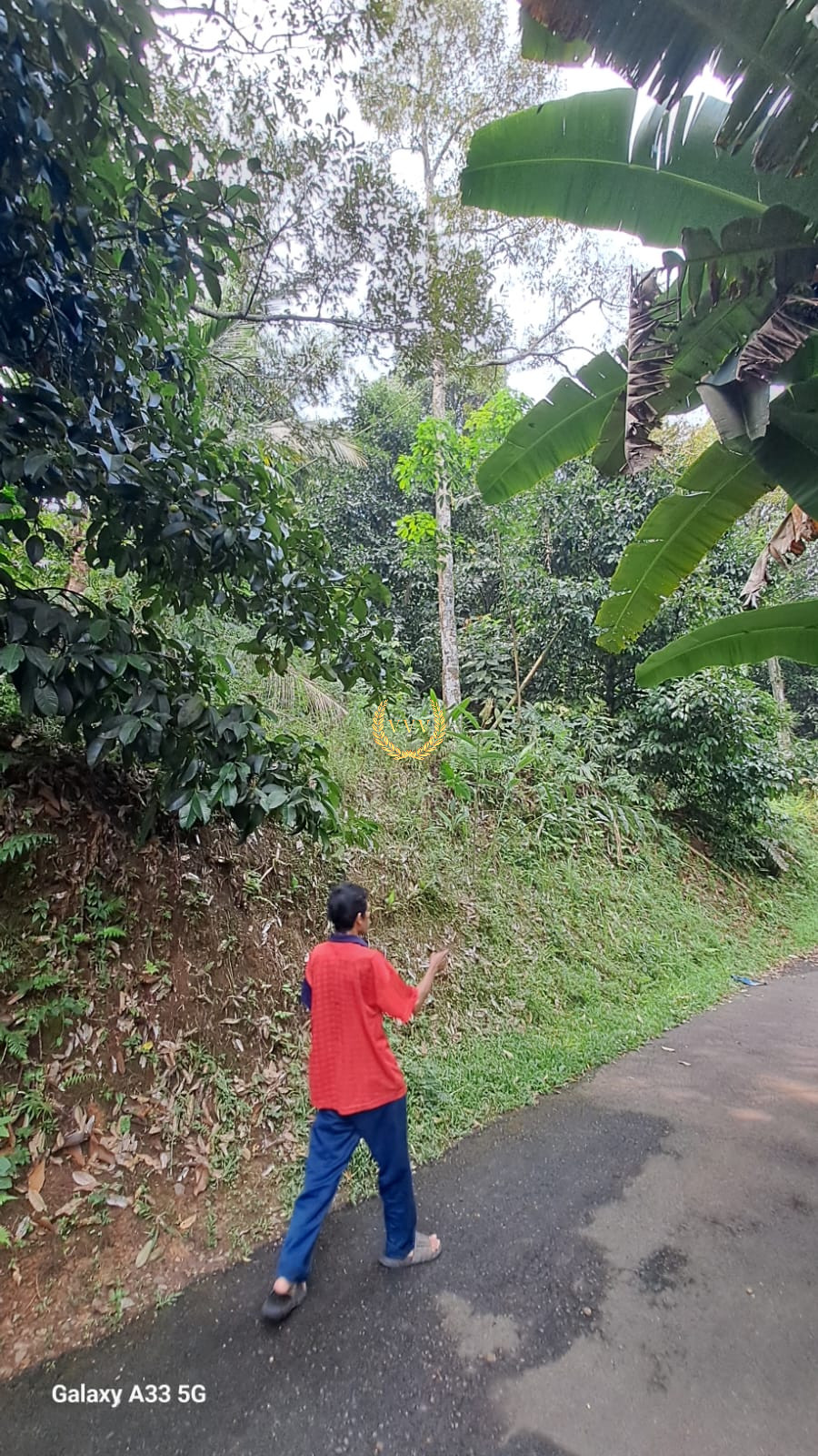 TANAH KP KARYA BAKTI, LEUWILIANG, BOGOR - View 5
